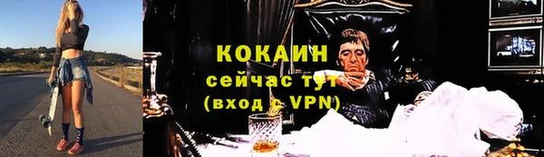 молекула духа Лагань