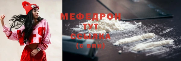 индика Аша