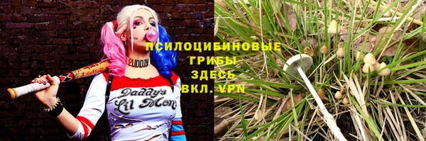 первитин Лиски